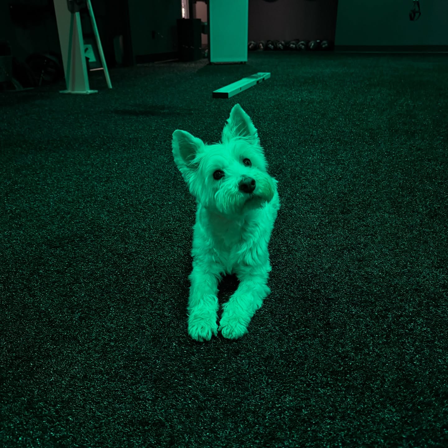 488192789_18335552965082815_2969602162260847502_n